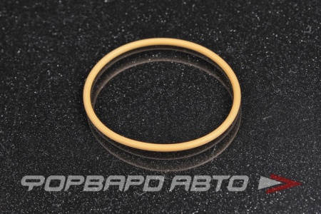 Купить Кольцо уплотнительное VAG 06E 145 117 A