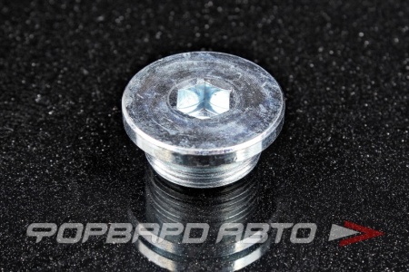 Купить Пробка сливная 24*1,5 масляного поддона FA1 257.805.001