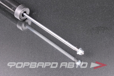 Купить Амортизатор задний MILES DG02447-01