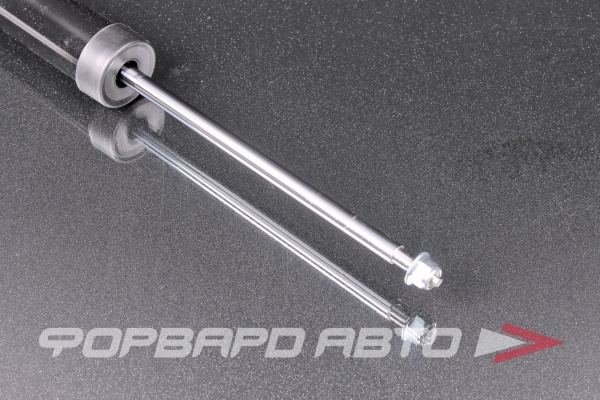 Амортизатор задний MILES DG02447-01