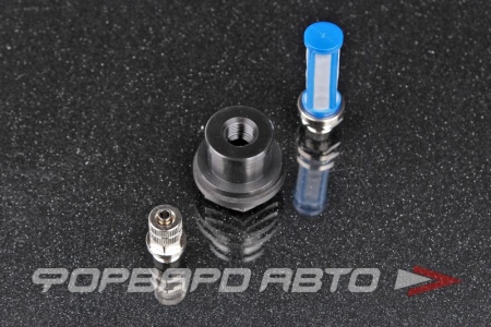 Купить Фильтр для бака для водометанольной системы, 100 микрон, с адаптером и фитингом под шланг 6 мм AQUAMIST 896-258