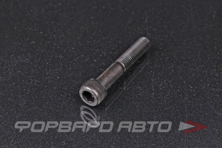 Купить Винт цилиндр. с внутренним шестигранником М10*60 DIN912 высокопр. пр.12,9  