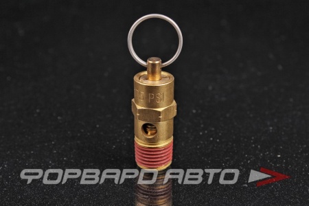 Купить Клапан предохранительный 1/4" PT THB 