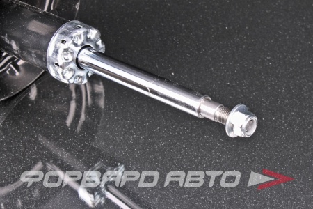 Купить Амортизатор передний, левый MILES DG11381