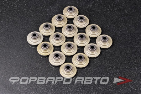 Купить Колпачки маслосъемные, комплект 16шт AJUSA 57019400