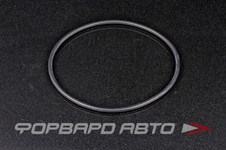 Купить Прокладка крышки топливного бака TOYOTA 77169-0K010