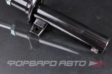 Купить Амортизатор передний MILES DG02476