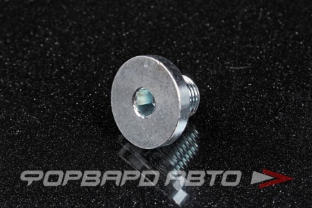 Купить Пробка сливная 12*1,25 масляного поддона TOYOTA 90341-12034