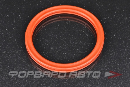 Купить Прокладка дроссельной заслонки RENAULT 77 01 047 579