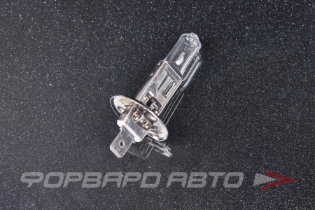 Купить Лампа H1 12V 55W Day&Night CARBERRY 31CA11