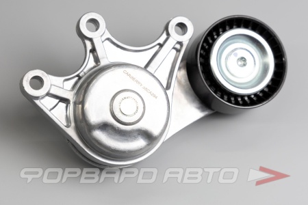 Купить Натяжитель приводного ремня CARBERRY 55CA294