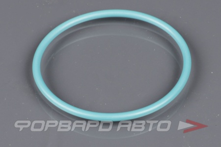 Купить Кольцо уплотнительное VAG WHT 010 080