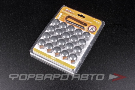 Купить Колпачки на колесные болты/гайки 19 мм, 20 шт.+ съёмник, пластик, серые AIRLINE AWBN-02