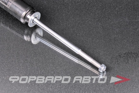 Купить Амортизатор передний MILES DG01774