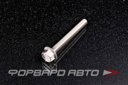 Купить Болт М6*1,0*50 ДИН 6921 А2 нерж. шестигр. гол. с фланцем <> 