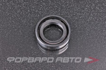 Купить Сальник 19*30*8 (TC) NQK 19*30*8 TC