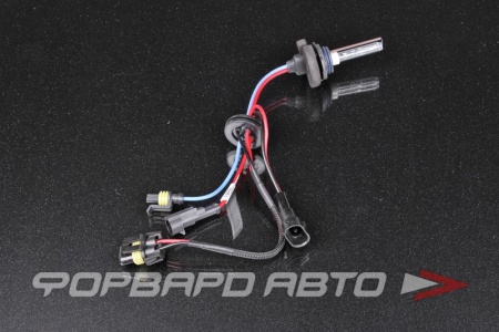 Купить Лампа ксенон HB4 5000K AMP Китай 