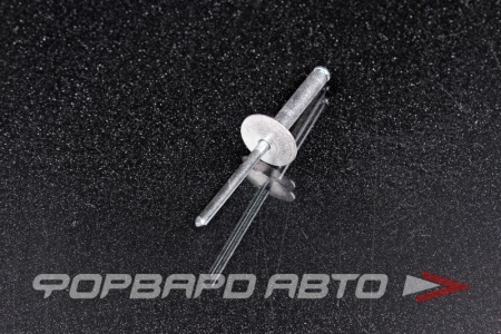 Купить Заклепка вытяжная 4,8*25/16мм алюминий/сталь с широким бортом 16мм  