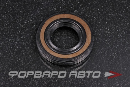 Купить Сальник высокого давления 19*35*5/5,5 1РМ TCS F-01105