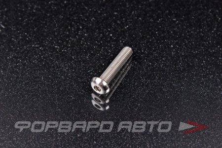 Купить Винт M5*0,8*25 титановый полукруглая головка, внутренний шестигранник FORA TITANIUM ISO7380-5*25Ti
