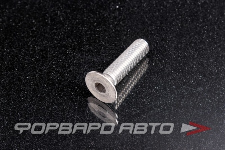 Купить Винт потайн. гол. внутр. шестигр. М10*40 DIN 7991 нерж. А2  DIN 7991