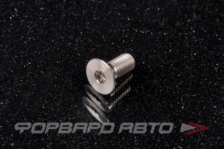 Купить Винт М5*0,8*12 титановый потайн. гол. внутр. шестигр DIN 7991 FORA TITANIUM DIN7991-5*12Ti