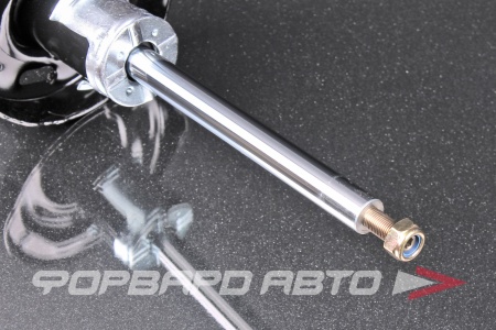 Купить Амортизатор передний, левый MILES DG11619