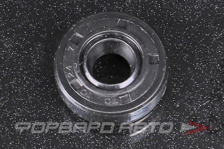 Купить Сальник 10*24*7 (TC) NQK 10*24*7 TC