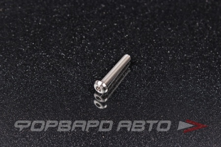 Купить Винт M4*0,7*25 титановый полукруглая головка, внутренний шестигранник FORA TITANIUM ISO7380-4*25Ti