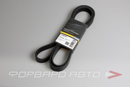 Купить Ремень поликлиновой CARBERRY 7PK2150