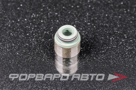 Купить Колпачок маслосъемный NOK BV3960-G1