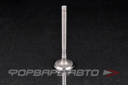 Купить Клапан выпускной N-ROCKY TB-67-0