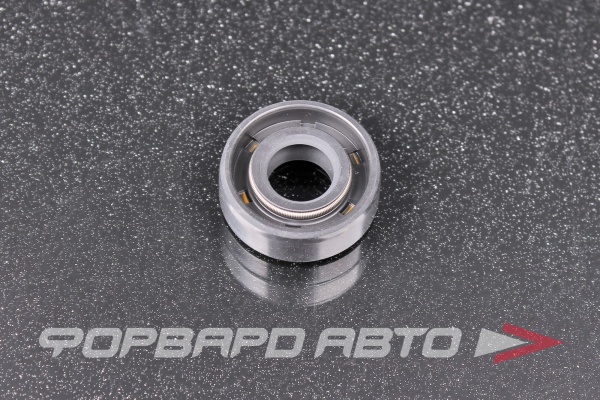 Сальник 10*22*8 (DC) рез. лодочный мотор TTO B2178