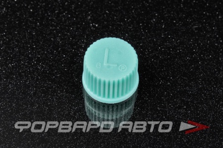 Купить Колпачок ниппеля кондиционера GENERAL MOTORS 96800054