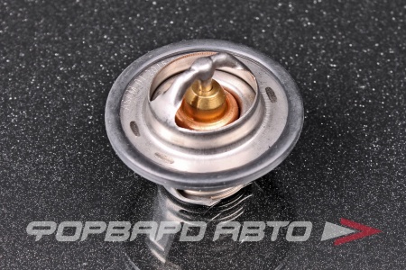 Купить Термостат ASAM 30403