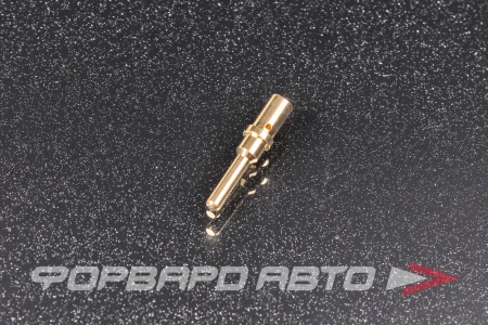 Купить Пин Size 12 Male Contact, 14-12 AWG, Gold plated (Fits DTP04 Housings)  