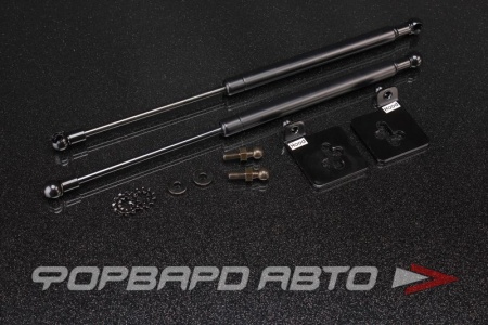 Купить Амортизаторы капота NISSAN March 11 AUTOBAHN88 