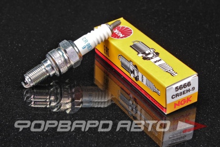 Купить Свеча зажигания NGK 5666