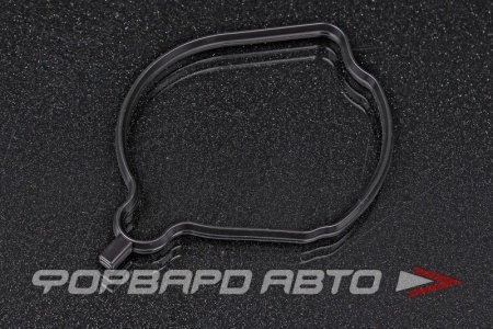 Купить Прокладка дроссельной заслонки NISSAN 16175-2Y001