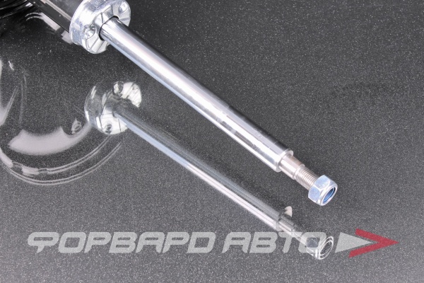 Амортизатор задний, правый MILES DG21606