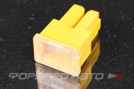 Купить Предохранитель силовой "мама" большой TESLA FJ11.060.001