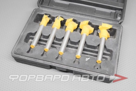 Купить Набор сверел Фоснера 5шт.(пластик.кораус) ЭНКОР 19171