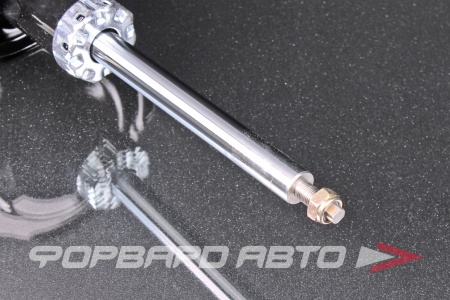 Купить Амортизатор передний, левый MILES DG11295-01