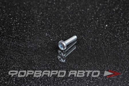 Купить Винт полукруглый, оцинкованный М3*12  