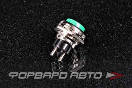 Купить Кнопка 2 положения, без фиксации (нормально замкнутая) ON-(OFF) 2A 250В (d-16мм), зеленая LEMA ELECTRIC PBS26C