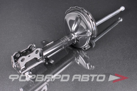 Купить Амортизатор задний, правый MILES DG21606