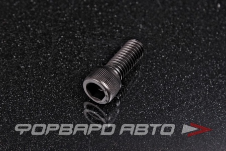 Купить Винт цилиндр. с внутренним шестигранником 3/8-16*1"(25мм) UNC (DIN912) 12.9 PU=S  