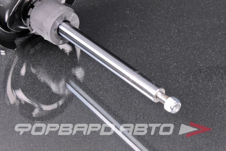 Купить Амортизатор передний, левый MILES DG11717-01