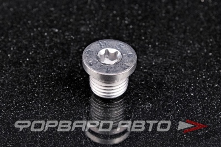 Купить Пробка сливная 14*1,5 масляного поддона VAG N 911 679 01