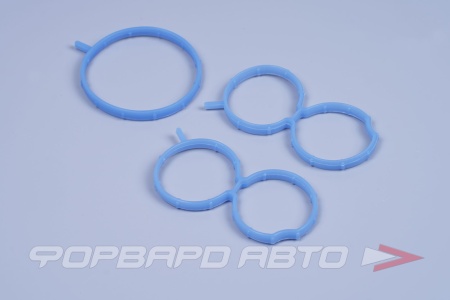 Купить Кольцо уплотнительное ресивера ВАЗ 2190, ВАЗ 1118 Калина 2 8кл. (синий силик.) ПромТехПласт 21116-1008611/16